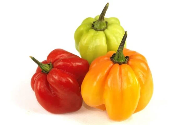 Scotch Bonnet Peppers