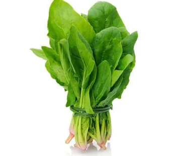 Spinach (fresh) Bunch