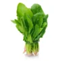 Spinach (fresh) Bunch