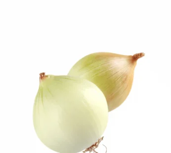 Fresh Onion Pack of 3