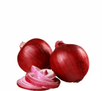 Fresh Red Onion Pack of 3