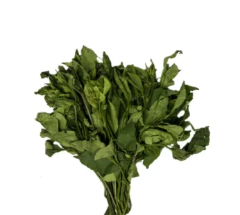 Fresh Ugu