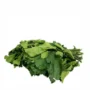 Fresh Uziza Leaf – Bunch