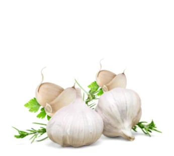 Fresh Garlic Pack of 4