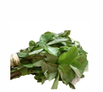 Fresh Oha – Bunch
