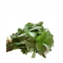 Fresh Oha – Bunch