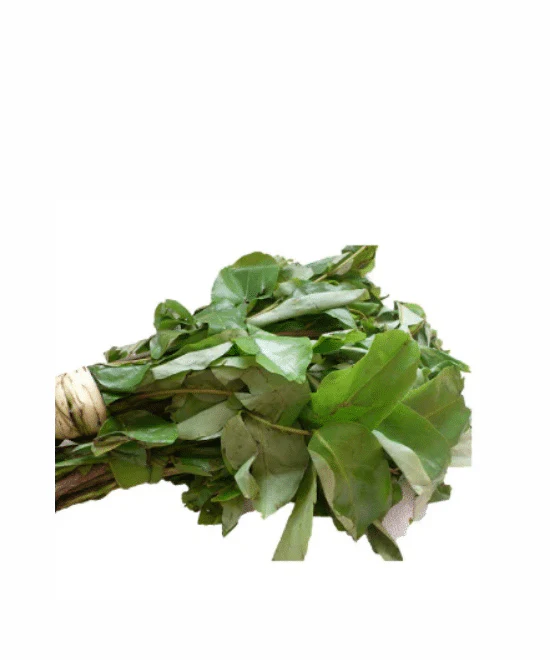 Fresh Oha – Bunch