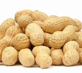 Fresh Peanut (Groundnut) Sack 500g