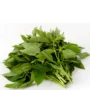 fresh ewedu