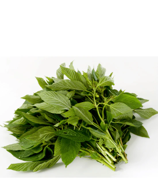 fresh ewedu